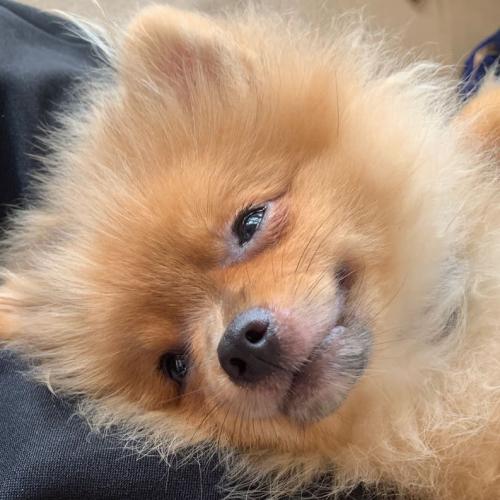 สมาชิกหมายเลข 7607398