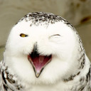 สมาชิกหมายเลข 4494492