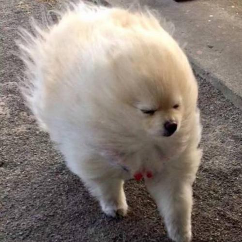 สมาชิกหมายเลข 4879083