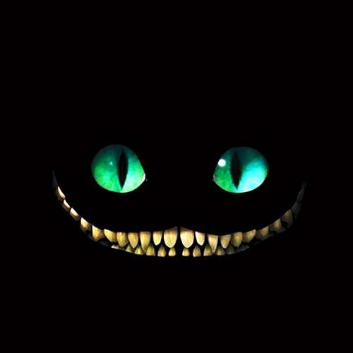 สมาชิกหมายเลข 5593381