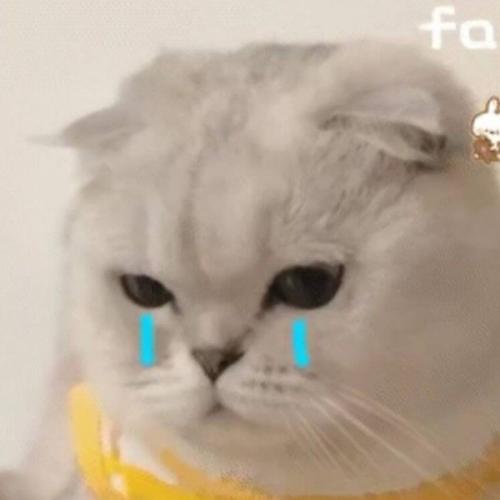 สมาชิกหมายเลข 7490957