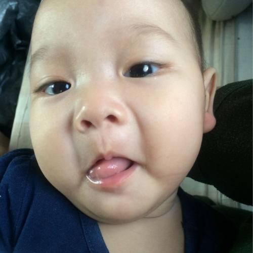 สมาชิกหมายเลข 4032595