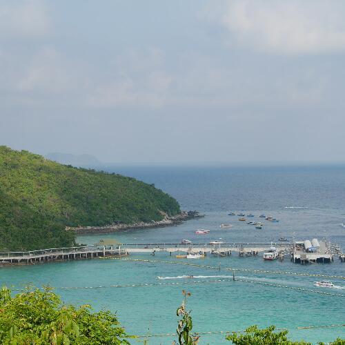 สมาชิกหมายเลข 4392641