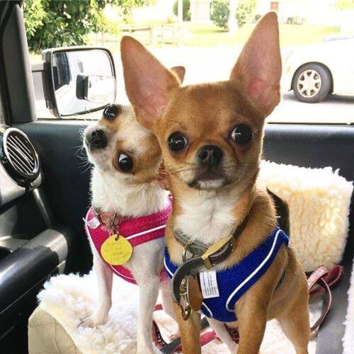 สมาชิกหมายเลข 4811918