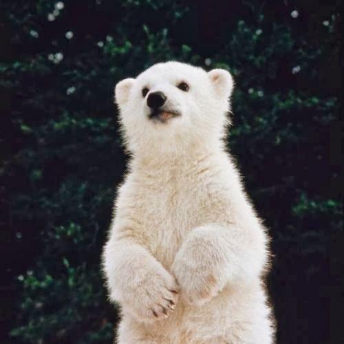 สมาชิกหมายเลข 1793998