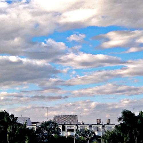 สมาชิกหมายเลข 5627799