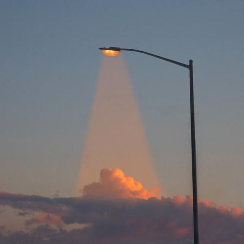 สมาชิกหมายเลข 5628032