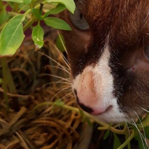 สมาชิกหมายเลข 6196308