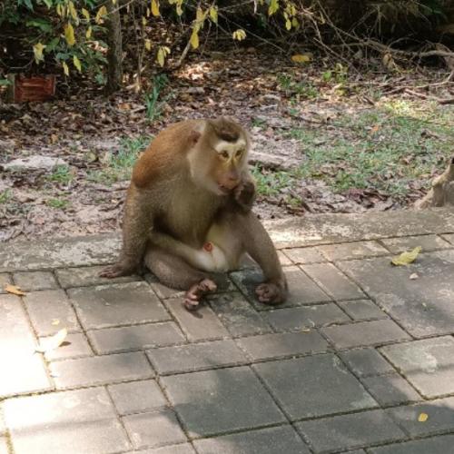 สมาชิกหมายเลข 6840068