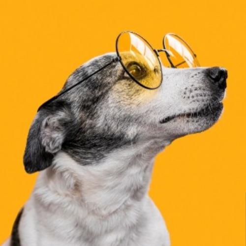 สมาชิกหมายเลข 6840461