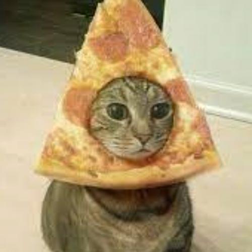 สมาชิกหมายเลข 6840599