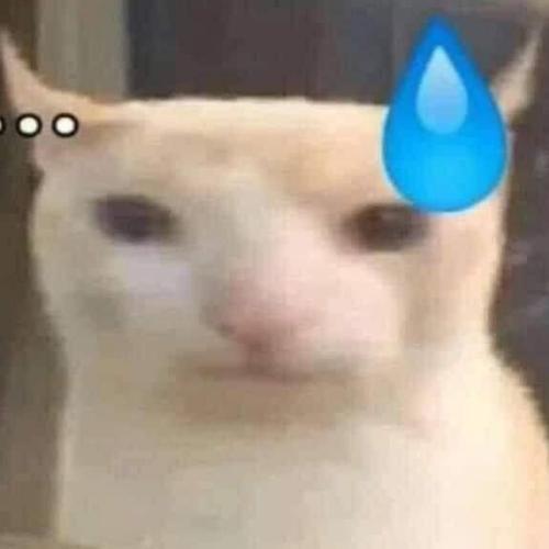 สมาชิกหมายเลข 8538792