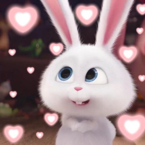 สมาชิกหมายเลข 8538941