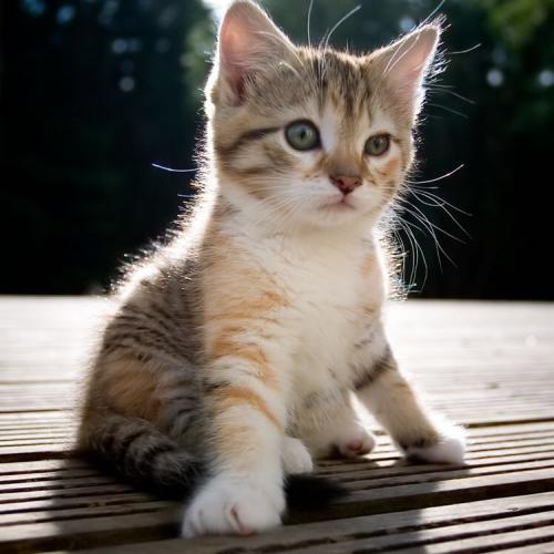 สมาชิกหมายเลข 1835482