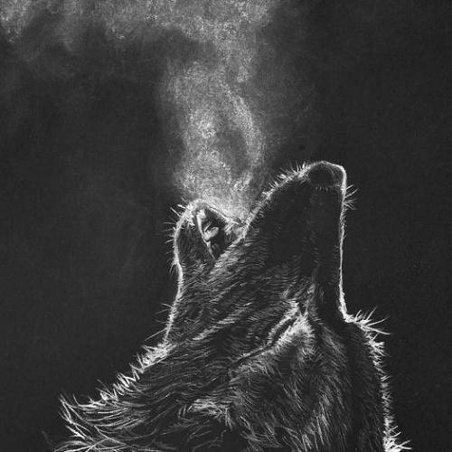 สมาชิกหมายเลข 4083877