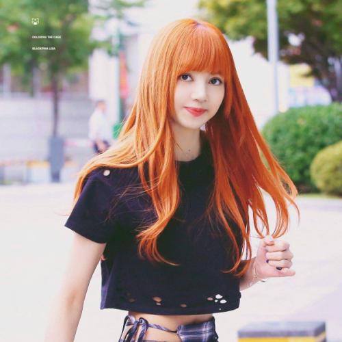 สมาชิกหมายเลข 4490229