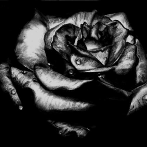 สมาชิกหมายเลข 4495239