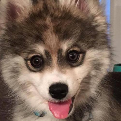 สมาชิกหมายเลข 4589883