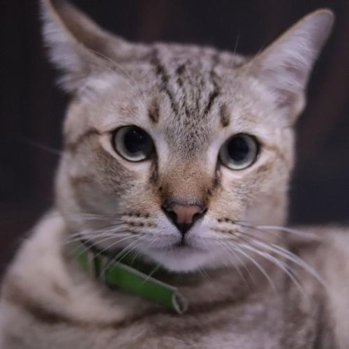 สมาชิกหมายเลข 4815713