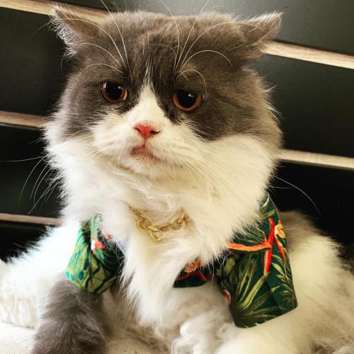 สมาชิกหมายเลข 5537540