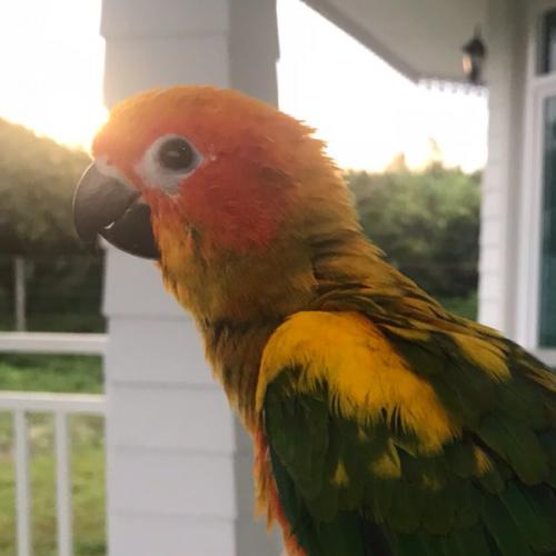 สมาชิกหมายเลข 5628757