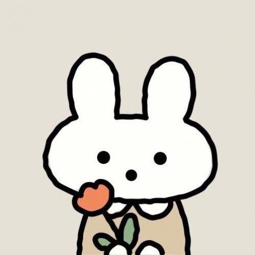 กระต่ายน้อยพเนจร