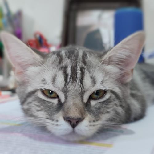 แล้วคุณมาขึ้นเสียงใส่ผมทำไม