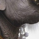 สมาชิกหมายเลข 2664016