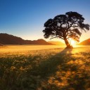 สมาชิกหมายเลข 3974435