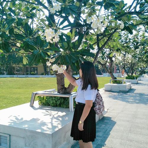 สมาชิกหมายเลข 2251008