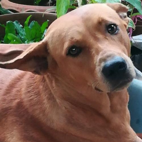 สมาชิกหมายเลข 1203846