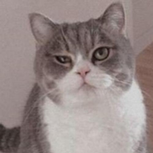 สมาชิกหมายเลข 5629135