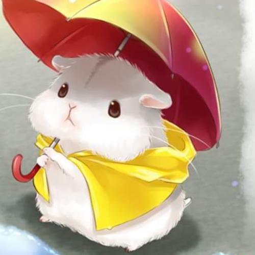 สมาชิกหมายเลข 6197376