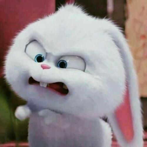 สมาชิกหมายเลข 6197509