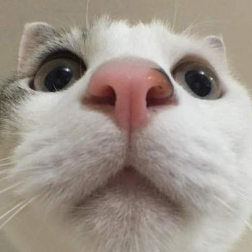 สมาชิกหมายเลข 5629551