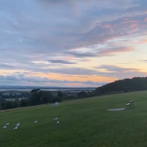 สมาชิกหมายเลข 5088315