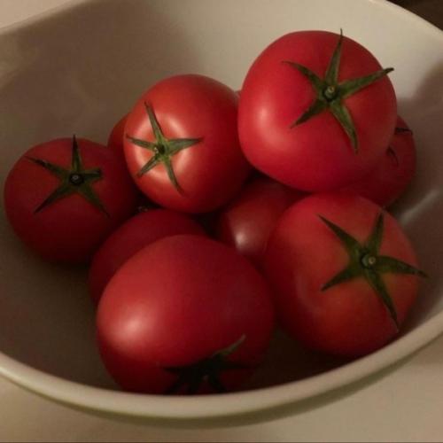 สมาชิกหมายเลข 8541083