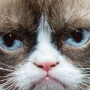 สมาชิกหมายเลข 3954665