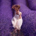 สมาชิกหมายเลข 4034724