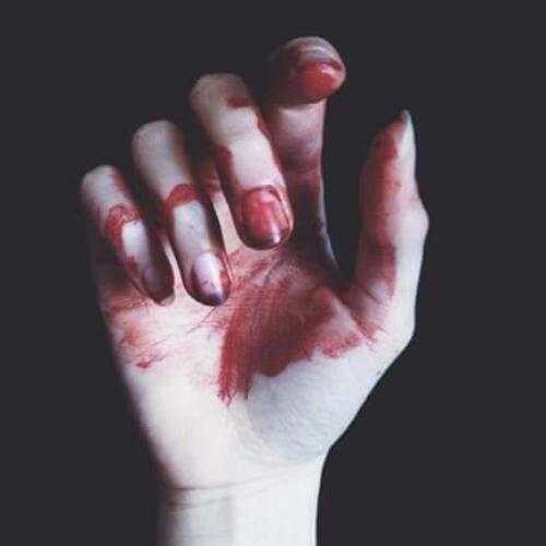 สมาชิกหมายเลข 4812742