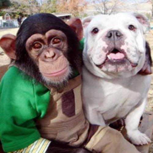 สมาชิกหมายเลข 5212639