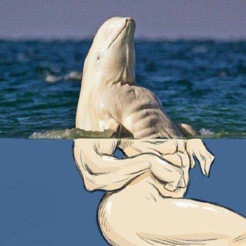 สมาชิกหมายเลข 5629516