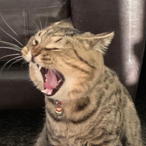 สมาชิกหมายเลข 1699707