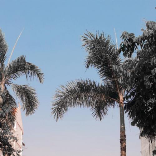 สมาชิกหมายเลข 4977762