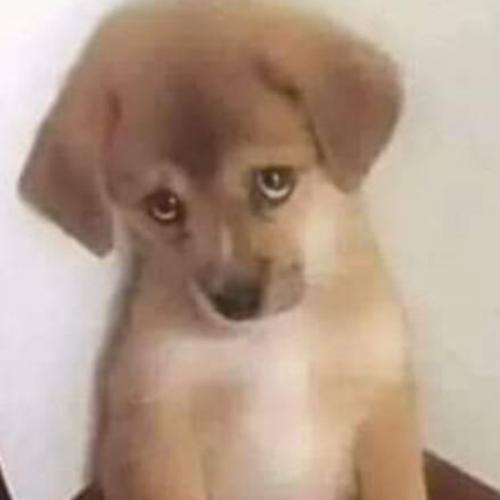 สมาชิกหมายเลข 5089589