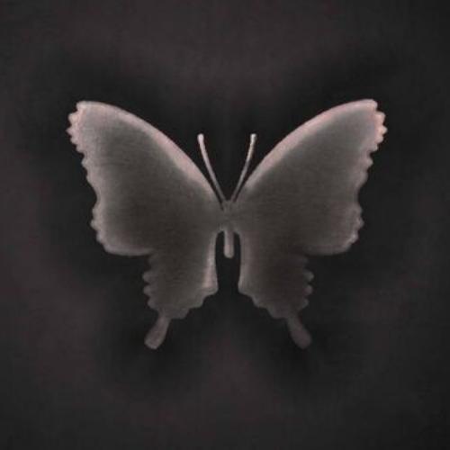 สมาชิกหมายเลข 6834731