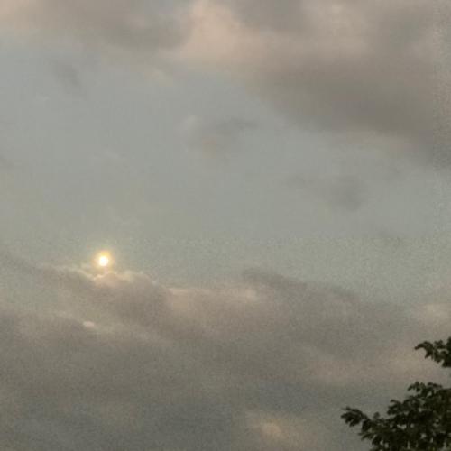 สมาชิกหมายเลข 6840218