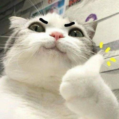 สมาชิกหมายเลข 6842491