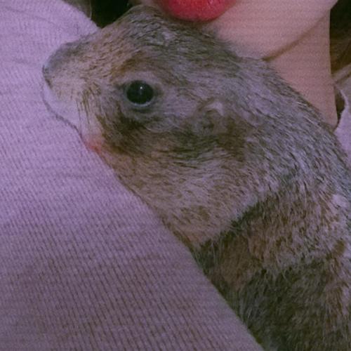 สมาชิกหมายเลข 7080703