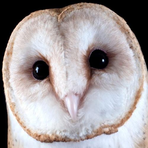 สมาชิกหมายเลข 7010309